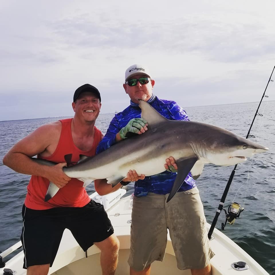 Guest holding a shark caught on a Reel Escapes charter in Tampa Bay